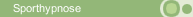 Sporthypnose